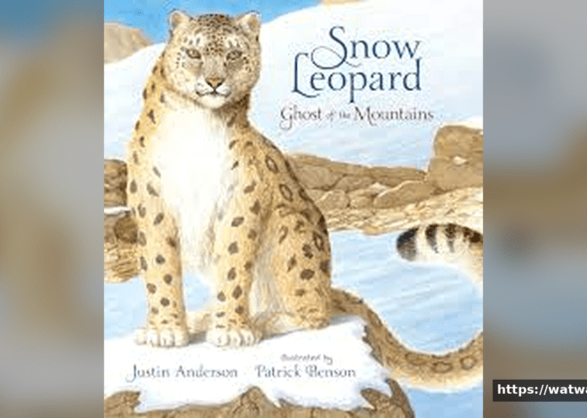 The Snow Leopardess:Ghost of the Mountains and Fierce Protector