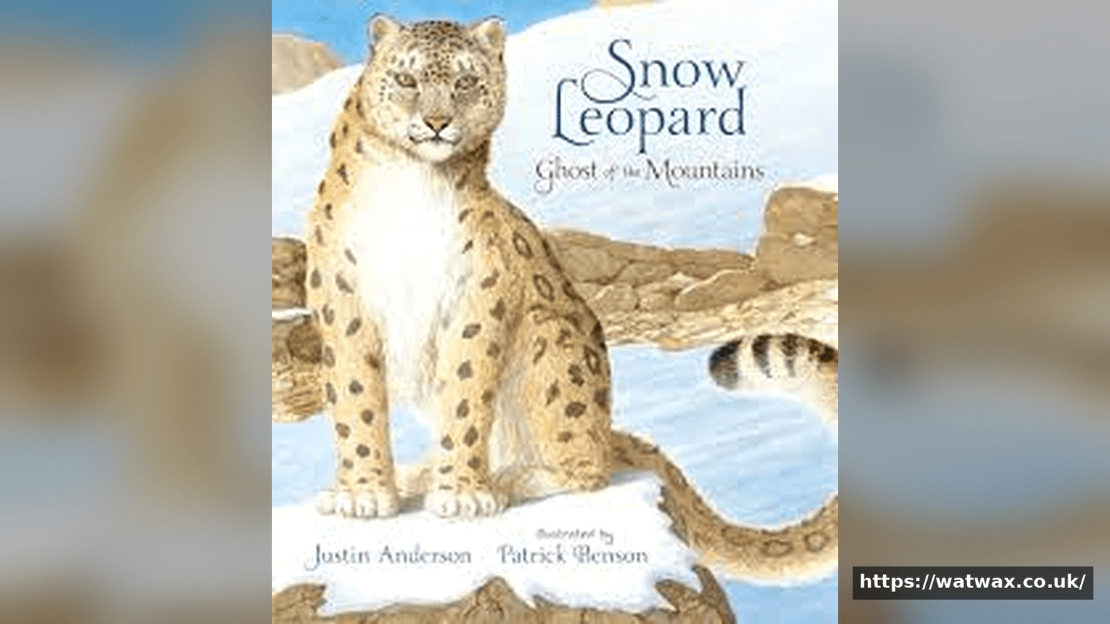 The Snow Leopardess:Ghost of the Mountains and Fierce Protector